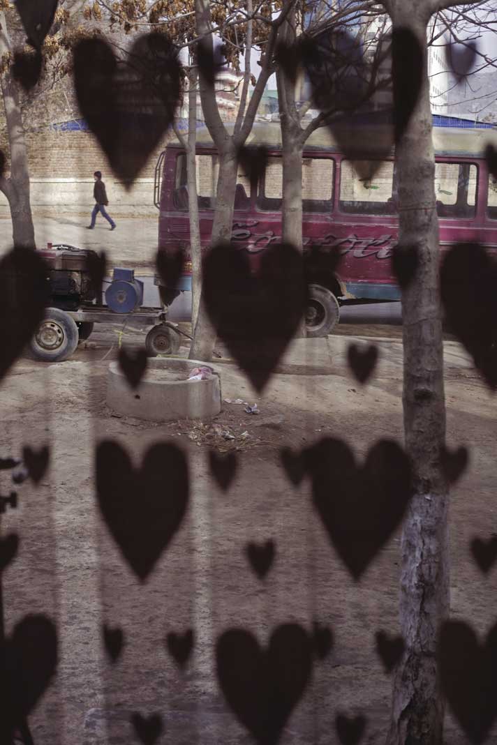 Landay Photo, Hearts